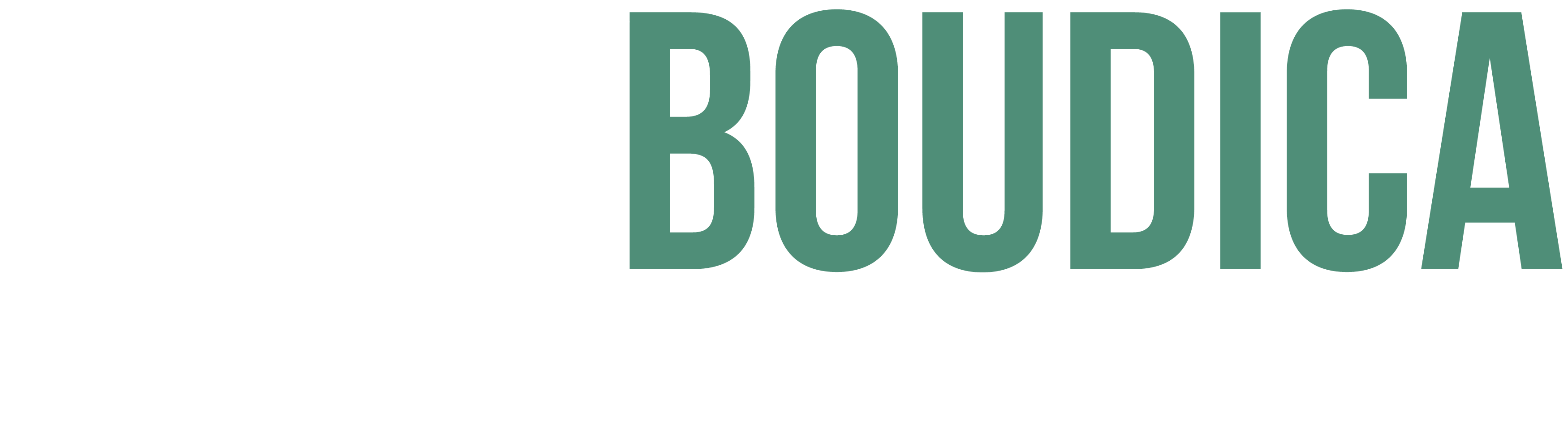 Boudica Cybersecurity Logo